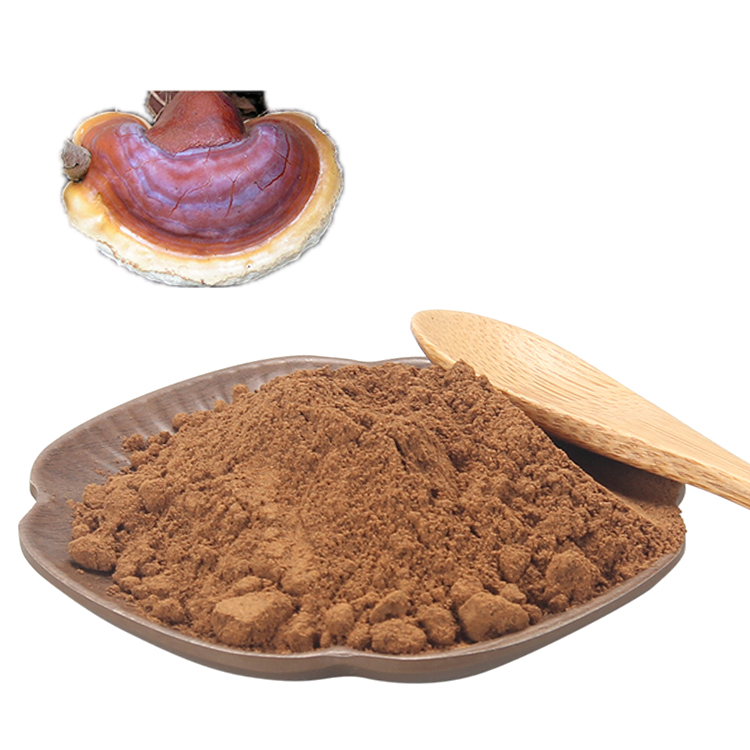 Get Ganoderma Lucidum Extract Powder High Potency - Boost Vitality Naturally